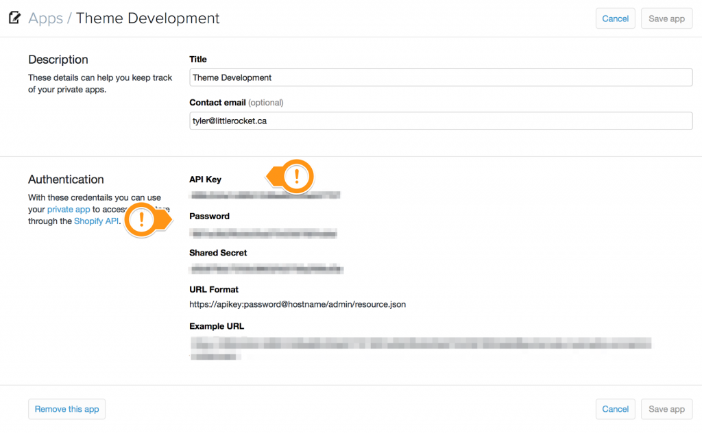 api setup